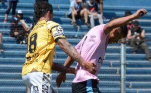 Brown-Flandria